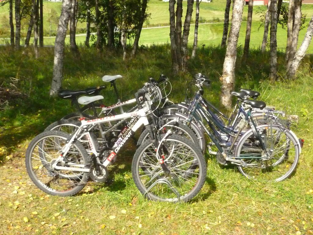 Birkelund Camping Geilo Exterior photo